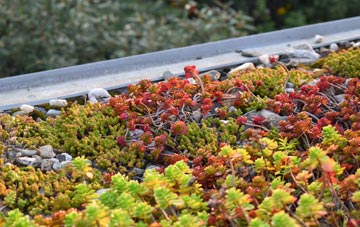 the cost of Kinsley green roof installation