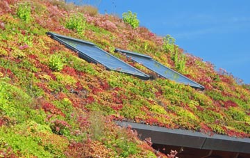 Kinsley living roof systems